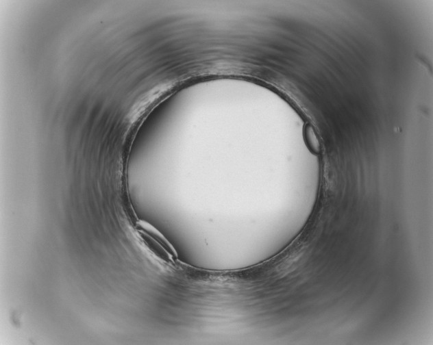 X0000102540437200808291845