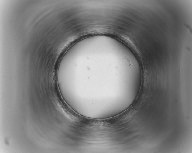 X0000102540439200808291845