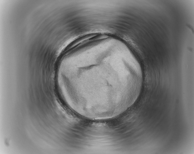 X0000102540440200808291845