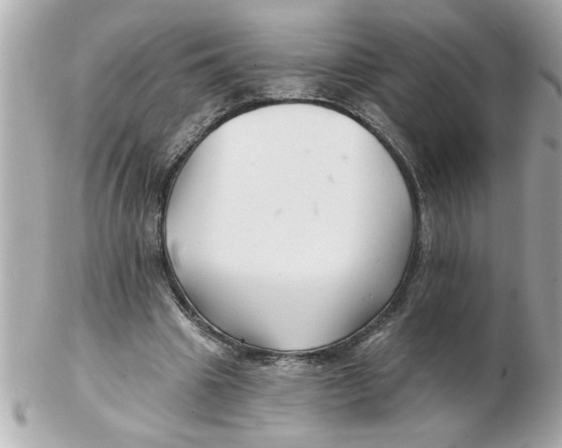 X0000102540441200808291845