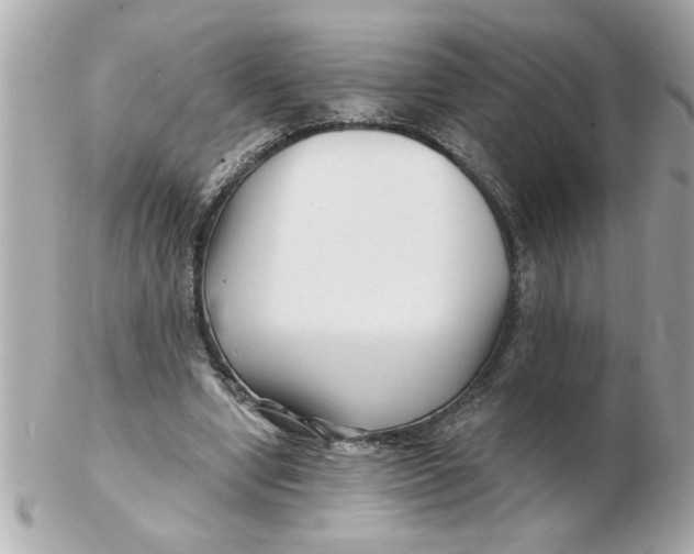 X0000102540442200808291846