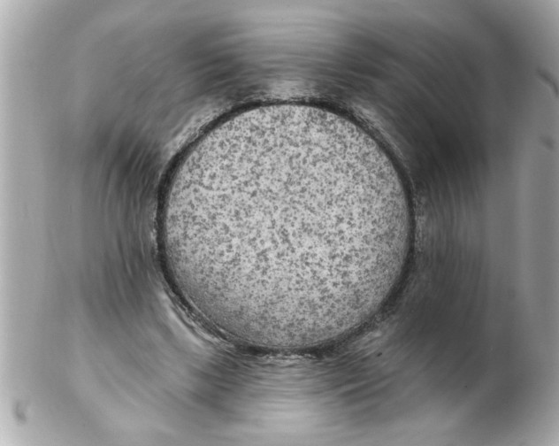 X0000102540443200808291846