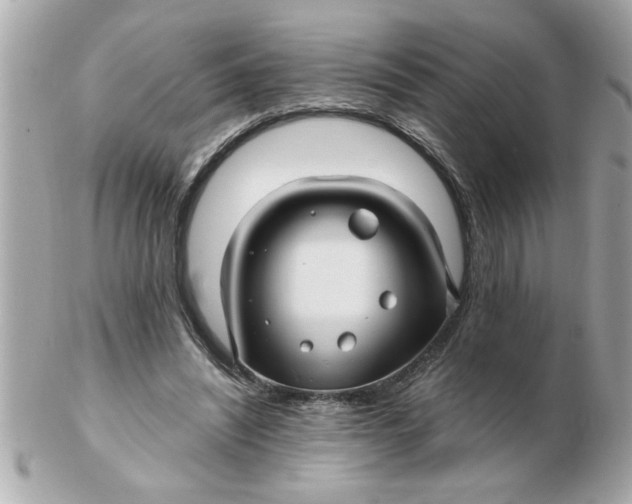 X0000102540444200808291846