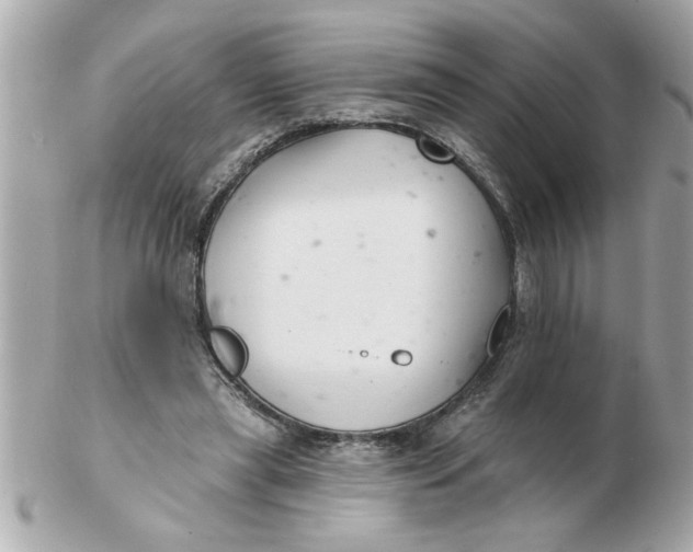 X0000102540445200808291846