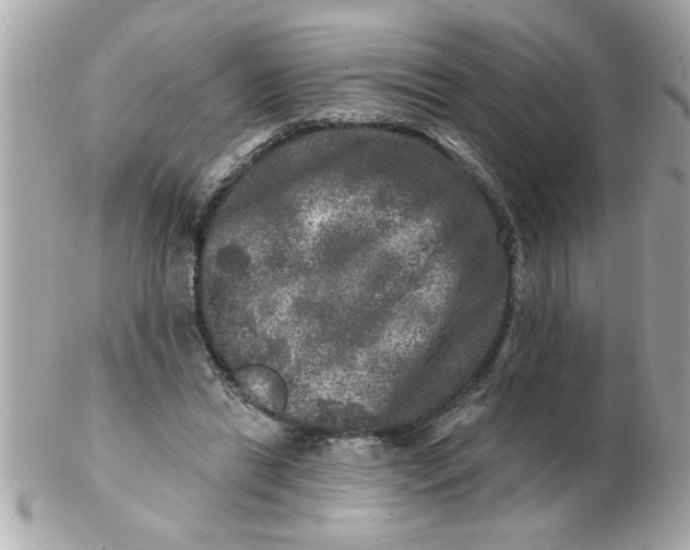 X0000102540446200808291846