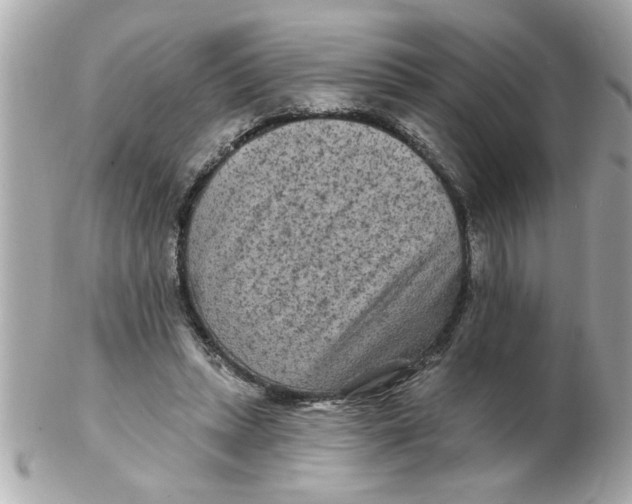 X0000102540447200808291846