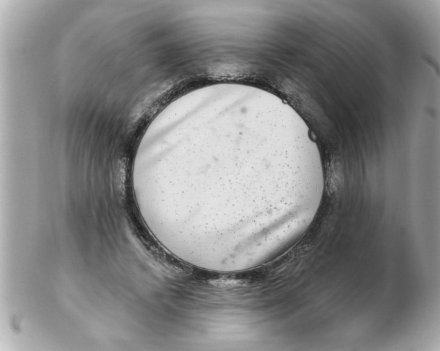 X0000102540448200808291846