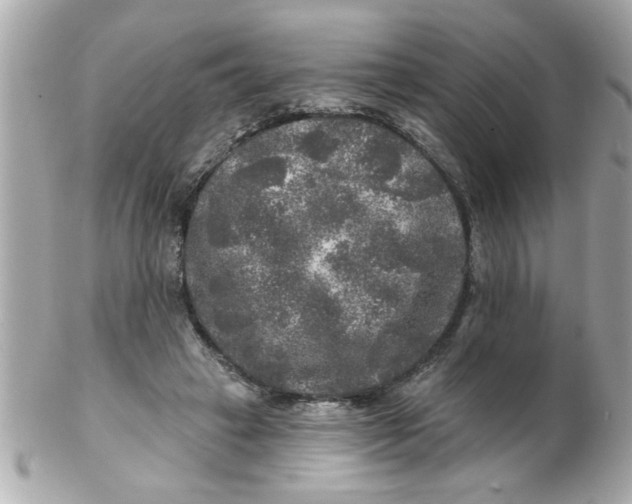 X0000102540449200808291846