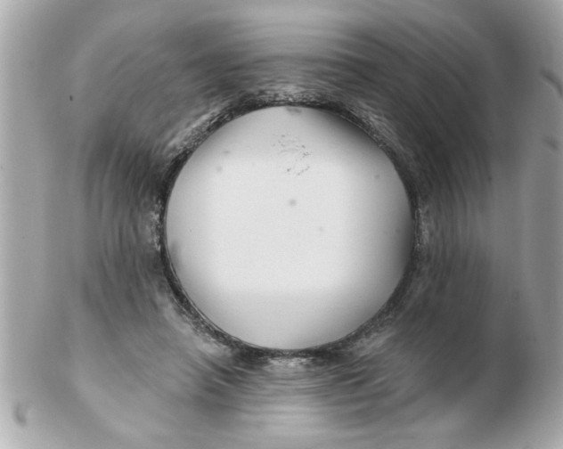 X0000102540450200808291846