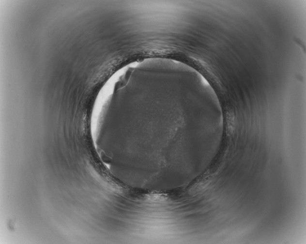 X0000102540451200808291846