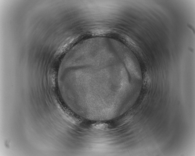 X0000102540452200808291846