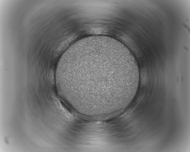 X0000102540453200808291846