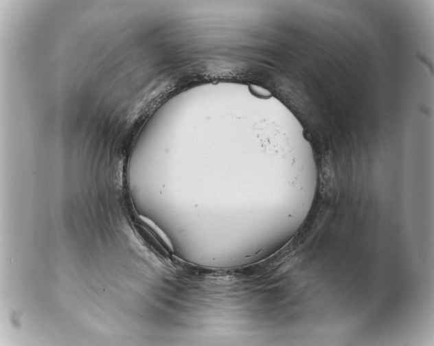 X0000102540454200808291846