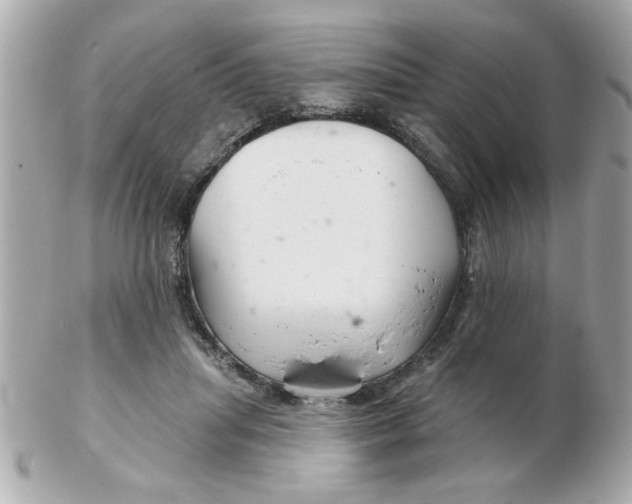 X0000102540455200808291846