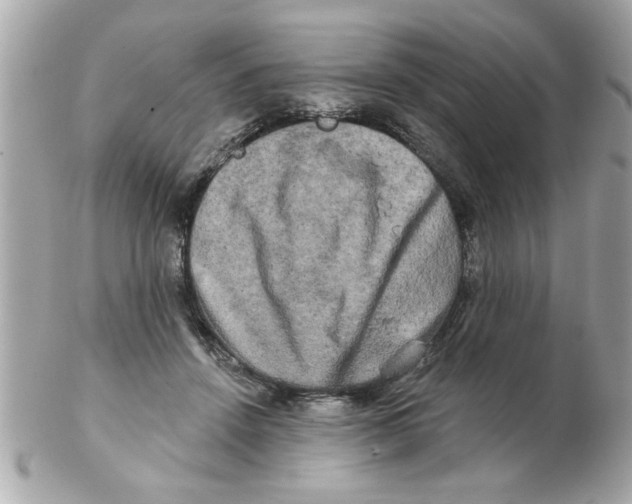 X0000102540456200808291846