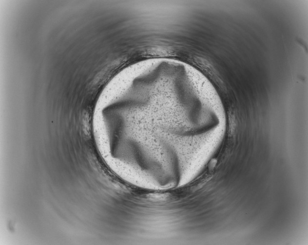 X0000102540457200808291846