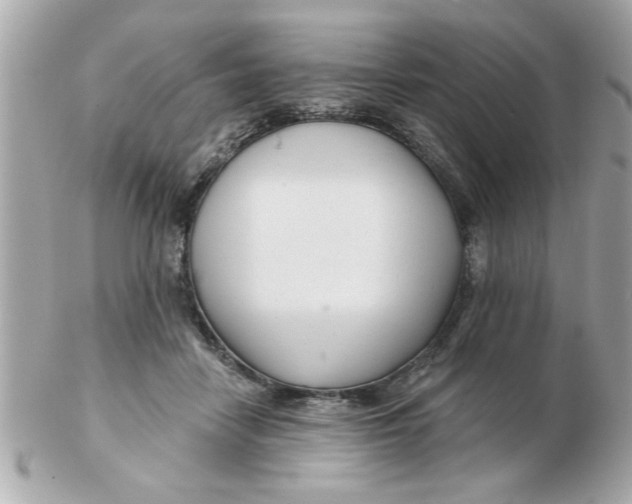 X0000102540458200808291846