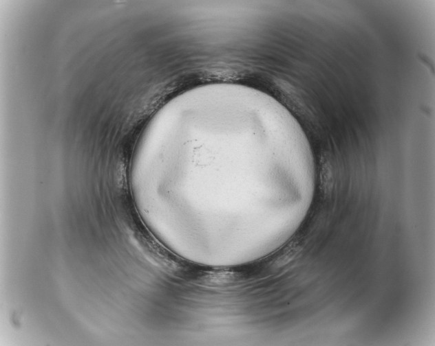 X0000102540459200808291846