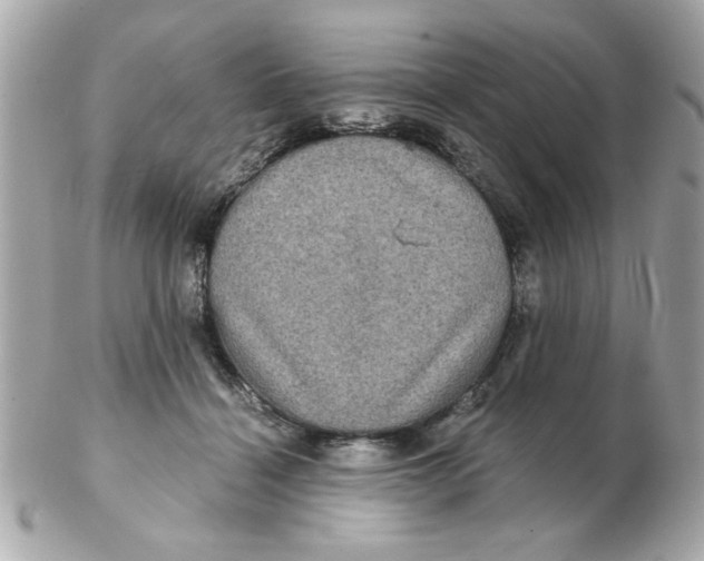 X0000102540460200808291846