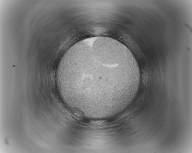 X0000102540461200808291846