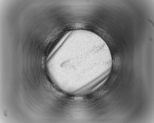 X0000102540462200808291846