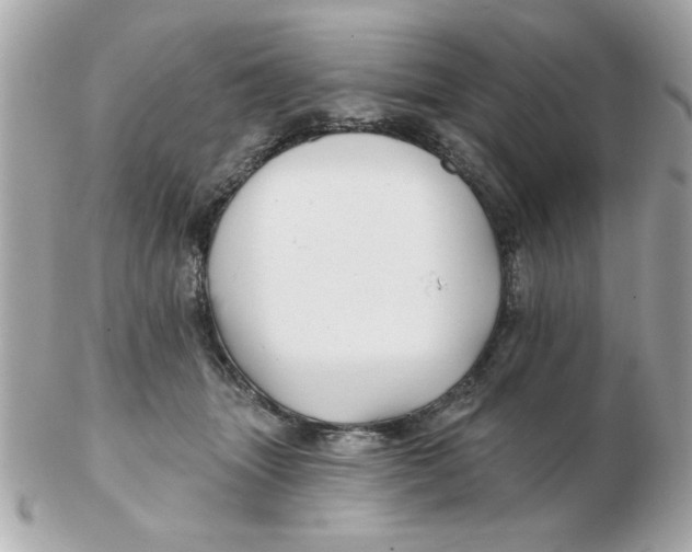 X0000102540463200808291846