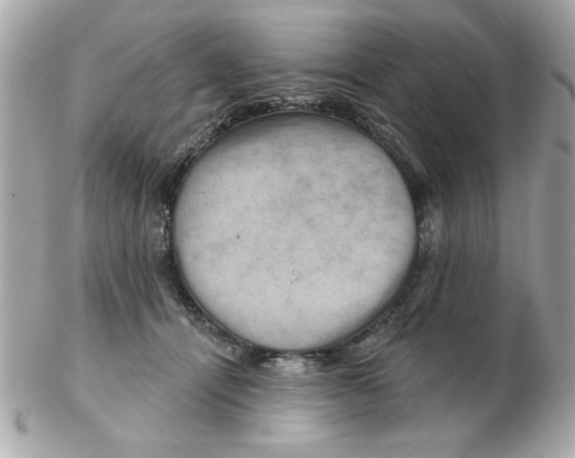 X0000102540464200808291846