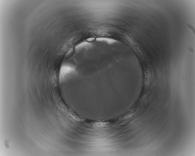 X0000102540465200808291846