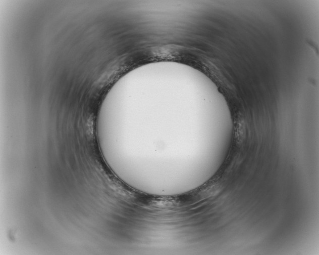 X0000102540466200808291846