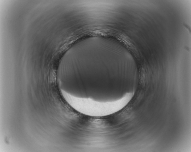 X0000102540467200808291846