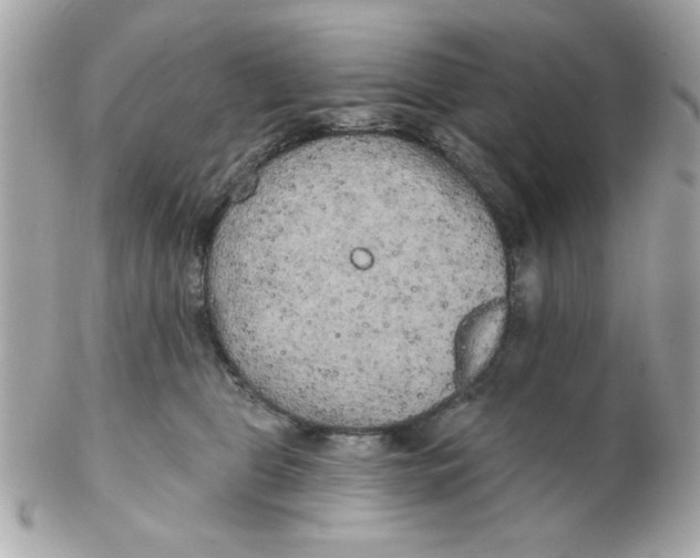 X0000102540469200808291846