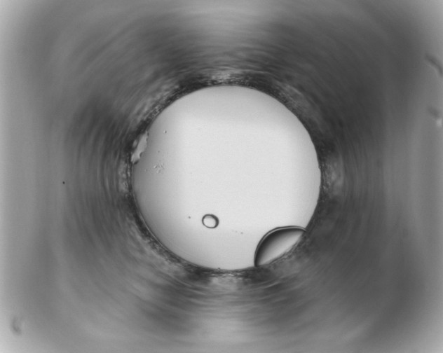 X0000102540470200808291846