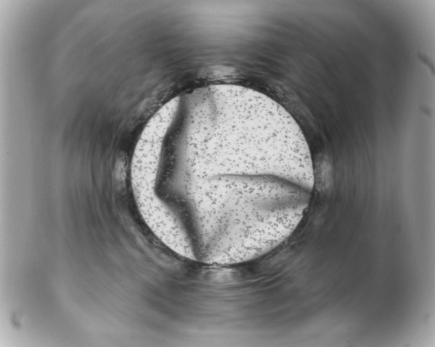 X0000102540472200808291846