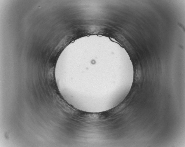 X0000102540473200808291846