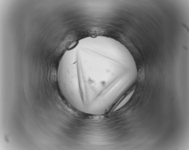 X0000102540474200808291846