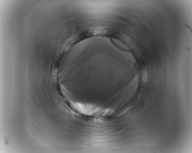 X0000102540475200808291846