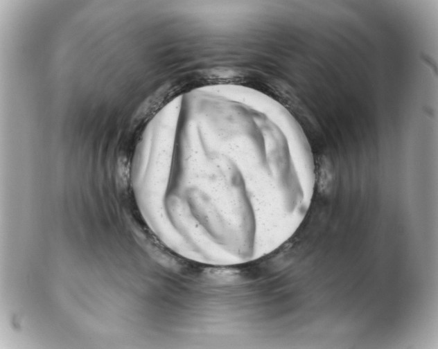 X0000102540476200808291846