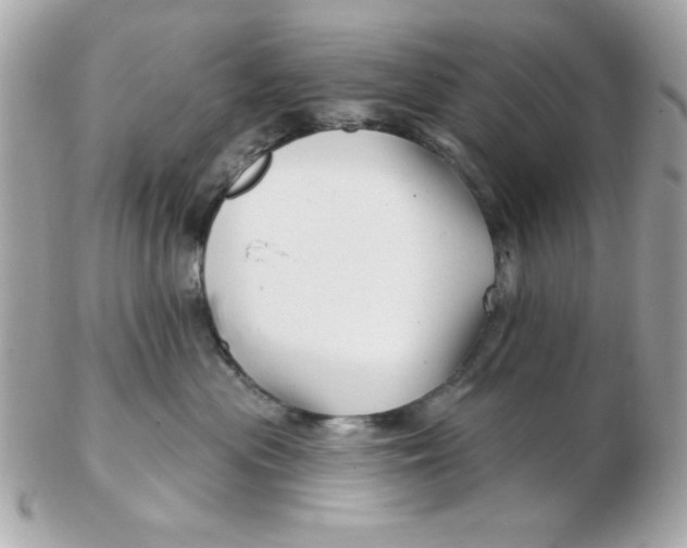 X0000102540477200808291846