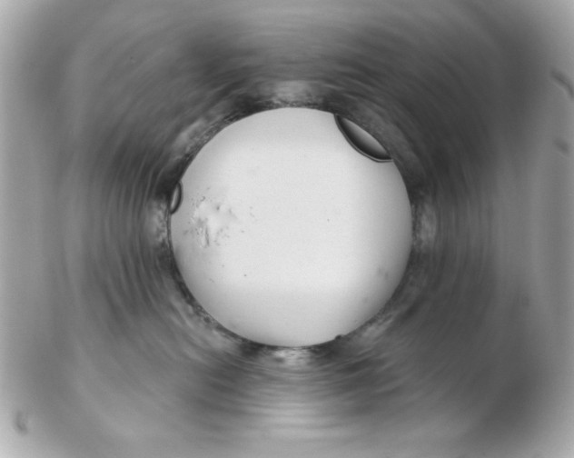 X0000102540478200808291846