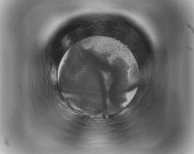 X0000102540479200808291846