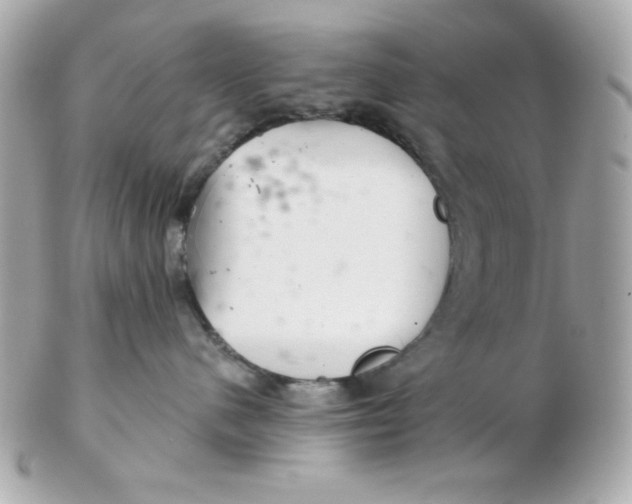 X0000102540480200808291846