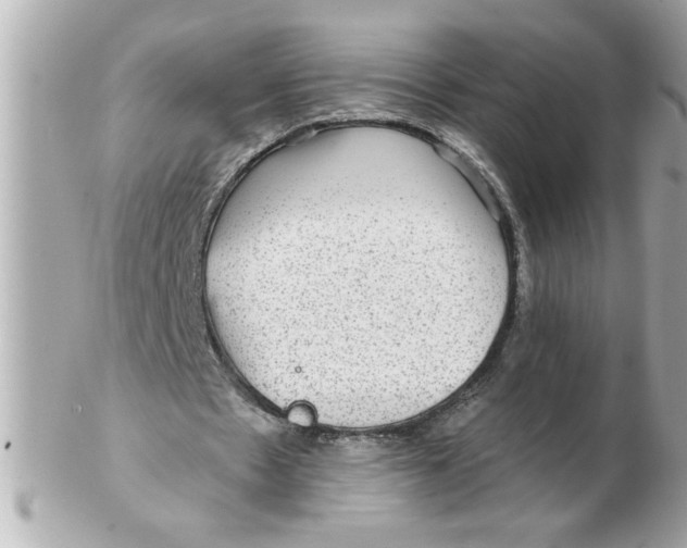 X0000102540481200808291845