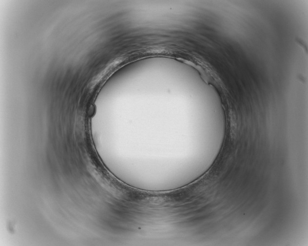 X0000102540482200808291845