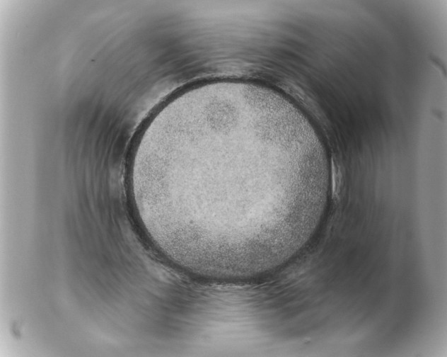 X0000102540483200808291845