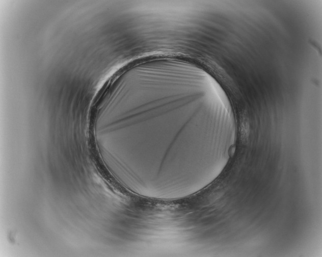 X0000102540484200808291845