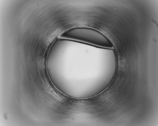 X0000102540485200808291845