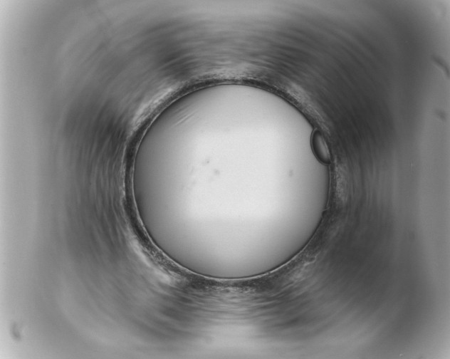 X0000102540486200808291845