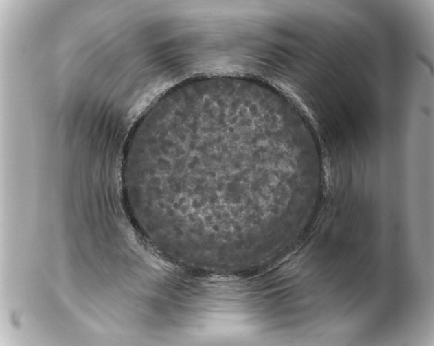 X0000102540487200808291845