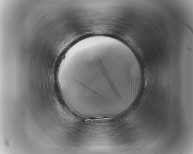 X0000102540488200808291845