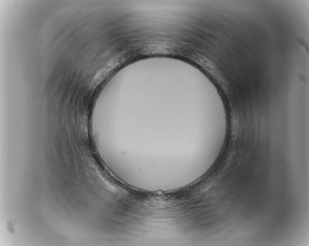 X0000102540489200808291845